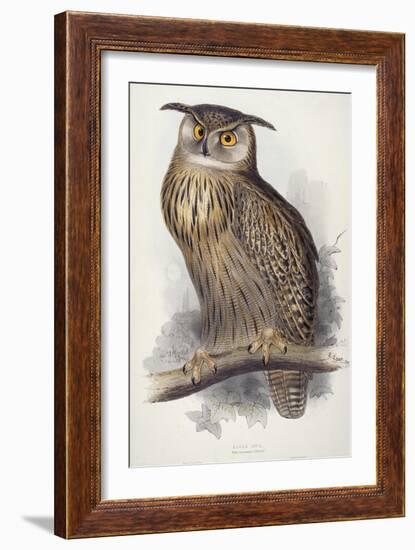 Eagle Owl, Bubo Maximus, 1832-1837-Edward Lear-Framed Giclee Print