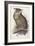 Eagle Owl, Bubo Maximus, 1832-1837-Edward Lear-Framed Giclee Print