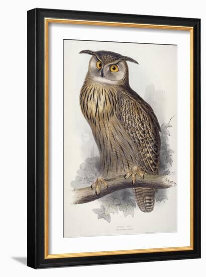Eagle Owl, Bubo Maximus, 1832-1837-Edward Lear-Framed Giclee Print