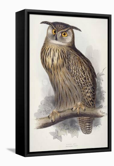 Eagle Owl, Bubo Maximus, 1832-1837-Edward Lear-Framed Premier Image Canvas