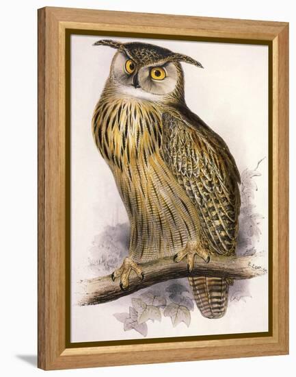 Eagle Owl, Bubo Maximus-Edward Lear-Framed Premier Image Canvas