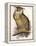 Eagle Owl, Bubo Maximus-Edward Lear-Framed Premier Image Canvas