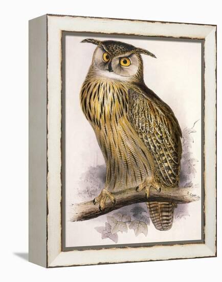 Eagle Owl, Bubo Maximus-Edward Lear-Framed Premier Image Canvas