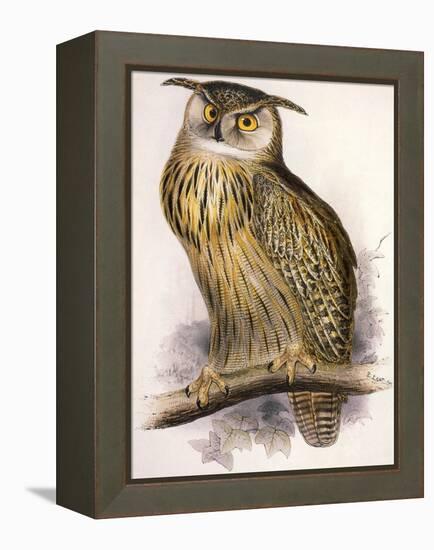 Eagle Owl, Bubo Maximus-Edward Lear-Framed Premier Image Canvas