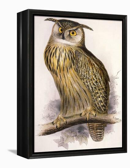 Eagle Owl, Bubo Maximus-Edward Lear-Framed Premier Image Canvas