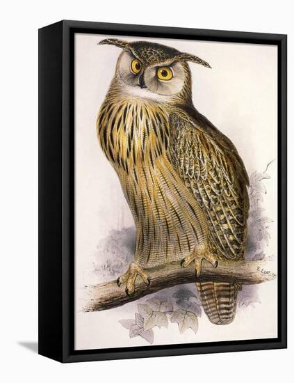 Eagle Owl, Bubo Maximus-Edward Lear-Framed Premier Image Canvas