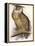 Eagle Owl, Bubo Maximus-Edward Lear-Framed Premier Image Canvas