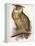 Eagle Owl, Bubo Maximus-Edward Lear-Framed Premier Image Canvas