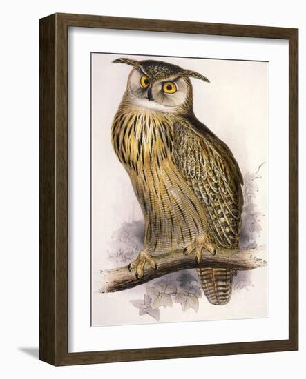 Eagle Owl, Bubo Maximus-Edward Lear-Framed Giclee Print