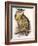 Eagle Owl, Bubo Maximus-Edward Lear-Framed Giclee Print