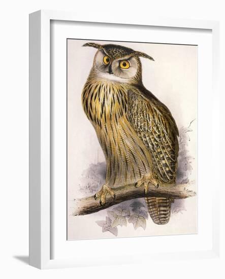 Eagle Owl, Bubo Maximus-Edward Lear-Framed Giclee Print