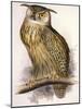 Eagle Owl, Bubo Maximus-Edward Lear-Mounted Giclee Print