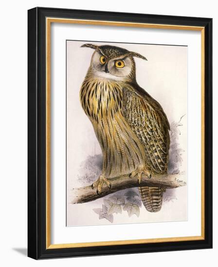 Eagle Owl, Bubo Maximus-Edward Lear-Framed Giclee Print