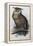 Eagle Owl, Lithographic Plate from "The Birds of Europe"-John Gould-Framed Premier Image Canvas