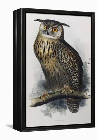 Eagle Owl, Lithographic Plate from "The Birds of Europe"-John Gould-Framed Premier Image Canvas