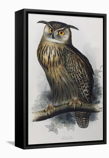 Eagle Owl, Lithographic Plate from "The Birds of Europe"-John Gould-Framed Premier Image Canvas