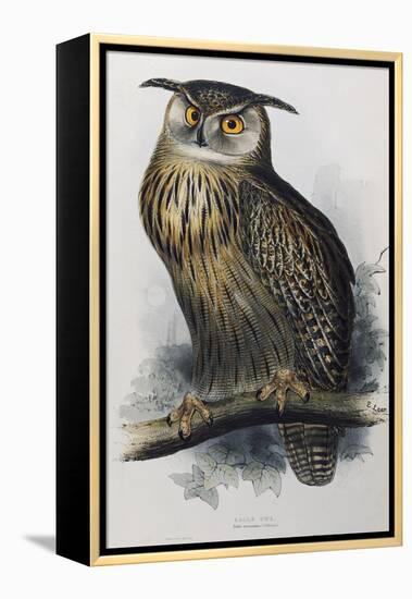 Eagle Owl, Lithographic Plate from "The Birds of Europe"-John Gould-Framed Premier Image Canvas