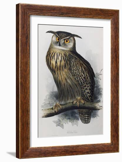 Eagle Owl, Lithographic Plate from "The Birds of Europe"-John Gould-Framed Giclee Print