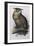 Eagle Owl, Lithographic Plate from "The Birds of Europe"-John Gould-Framed Giclee Print