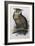 Eagle Owl, Lithographic Plate from "The Birds of Europe"-John Gould-Framed Giclee Print