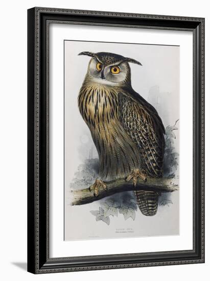 Eagle Owl, Lithographic Plate from "The Birds of Europe"-John Gould-Framed Giclee Print