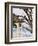 Eagle Perched at Entrance to Beach Trail, Kalaloch Lodge, Olympic National Park, Washington, USA-Trish Drury-Framed Photographic Print