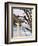 Eagle Perched at Entrance to Beach Trail, Kalaloch Lodge, Olympic National Park, Washington, USA-Trish Drury-Framed Photographic Print