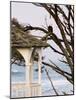 Eagle Perched at Entrance to Beach Trail, Kalaloch Lodge, Olympic National Park, Washington, USA-Trish Drury-Mounted Photographic Print