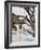 Eagle Perched at Entrance to Beach Trail, Kalaloch Lodge, Olympic National Park, Washington, USA-Trish Drury-Framed Photographic Print