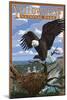 Eagle Perched - Yellowstone National Park-Lantern Press-Mounted Art Print