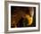 Eagle Pursues Prey-Adriana K.H.-Framed Photographic Print