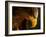 Eagle Pursues Prey-Adriana K.H.-Framed Photographic Print