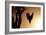 Eagle Rising-Susann Parker-Framed Photographic Print