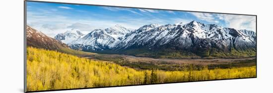 Eagle River Valley with Hurdygurdy Mountain in the background, Chugach National Park, Alaska, USA-null-Mounted Photographic Print