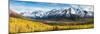 Eagle River Valley with Hurdygurdy Mountain in the background, Chugach National Park, Alaska, USA-null-Mounted Photographic Print