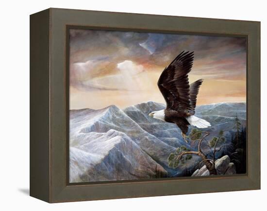 Eagle's Lair-Ruane Manning-Framed Stretched Canvas