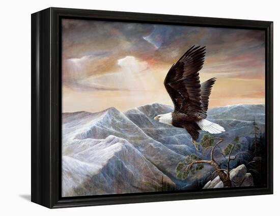 Eagle's Lair-Ruane Manning-Framed Stretched Canvas