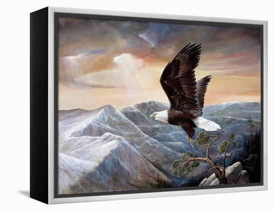 Eagle's Lair-Ruane Manning-Framed Stretched Canvas