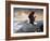 Eagle's Lair-Ruane Manning-Framed Art Print