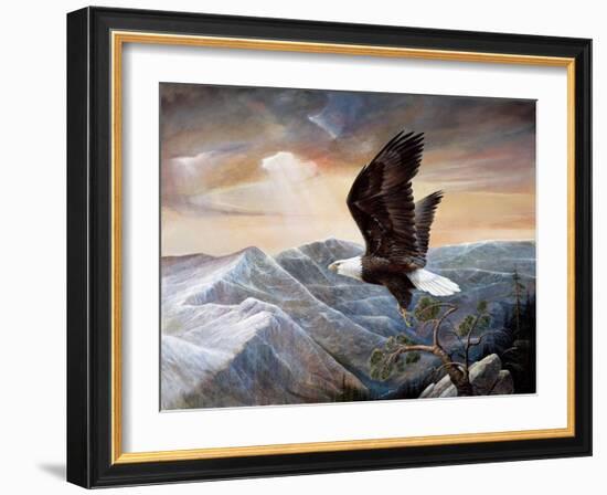 Eagle's Lair-Ruane Manning-Framed Art Print