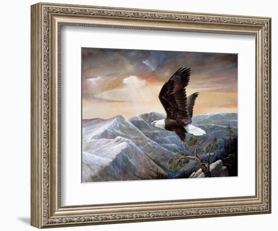 Eagle's Lair-Ruane Manning-Framed Art Print