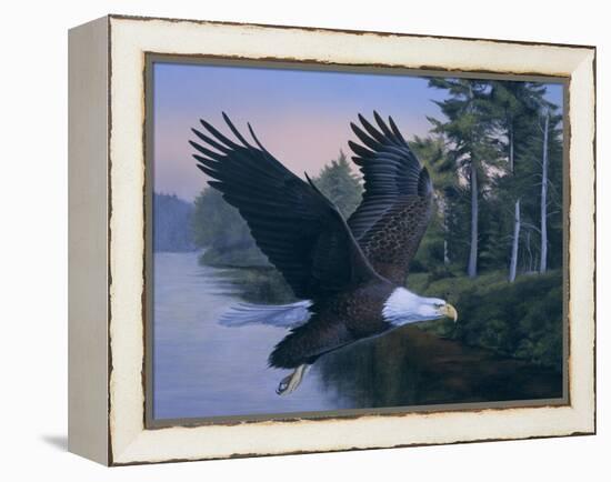 Eagle Soaring-Rusty Frentner-Framed Premier Image Canvas