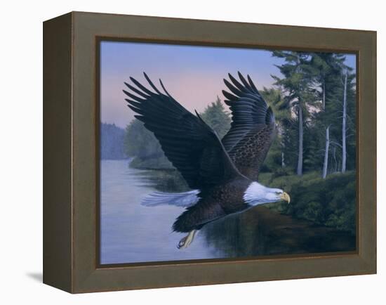 Eagle Soaring-Rusty Frentner-Framed Premier Image Canvas