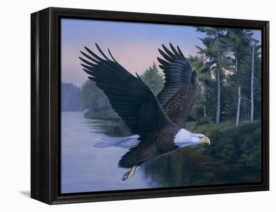 Eagle Soaring-Rusty Frentner-Framed Premier Image Canvas