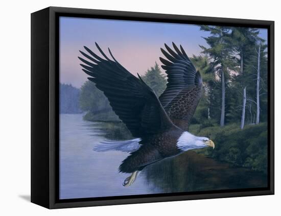 Eagle Soaring-Rusty Frentner-Framed Premier Image Canvas