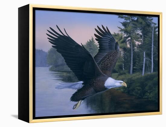 Eagle Soaring-Rusty Frentner-Framed Premier Image Canvas