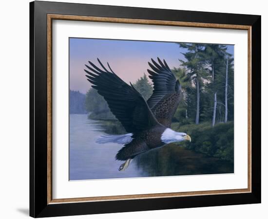 Eagle Soaring-Rusty Frentner-Framed Giclee Print