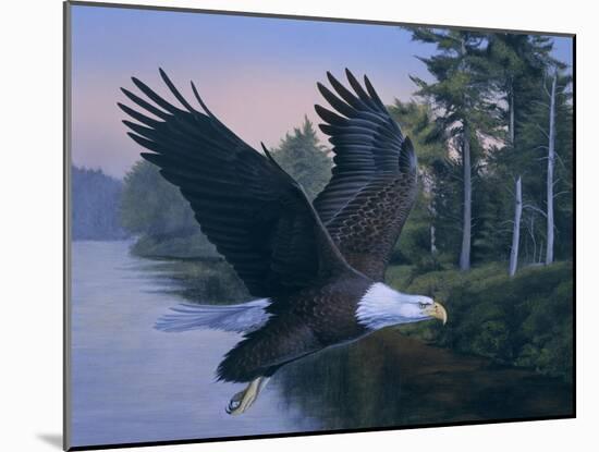 Eagle Soaring-Rusty Frentner-Mounted Giclee Print