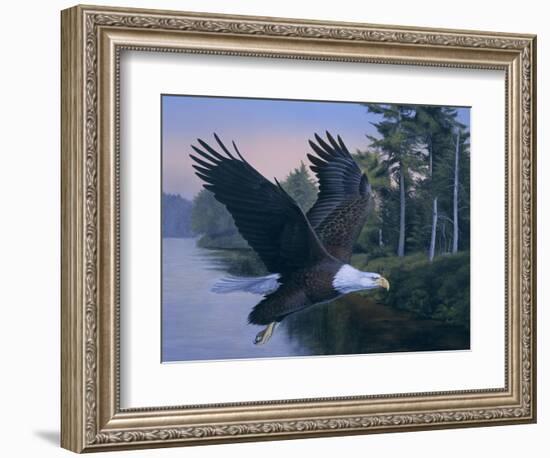 Eagle Soaring-Rusty Frentner-Framed Giclee Print