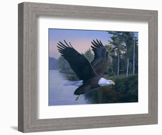 Eagle Soaring-Rusty Frentner-Framed Giclee Print